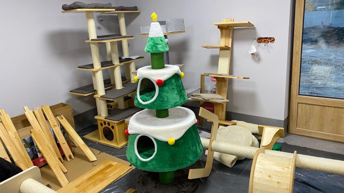 Mruczarnia 2.0 – aktualizacja