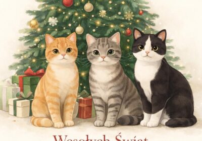 Życzenia Świąteczne