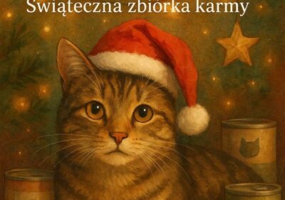 Akcja „Gwiazdka dla Przytul Kota” dobiega końca