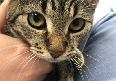 Bystra – aktualizacja