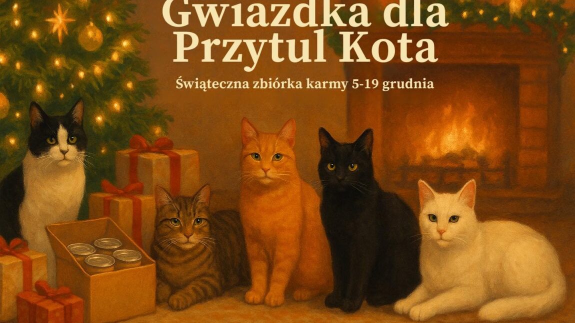 Akcja „Gwiazdka dla Przytul Kota”