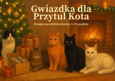 Akcja „Gwiazdka dla Przytul Kota”