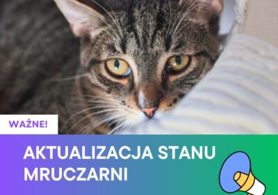 WAŻNE! Aktualizacja stanu Mruczarni
