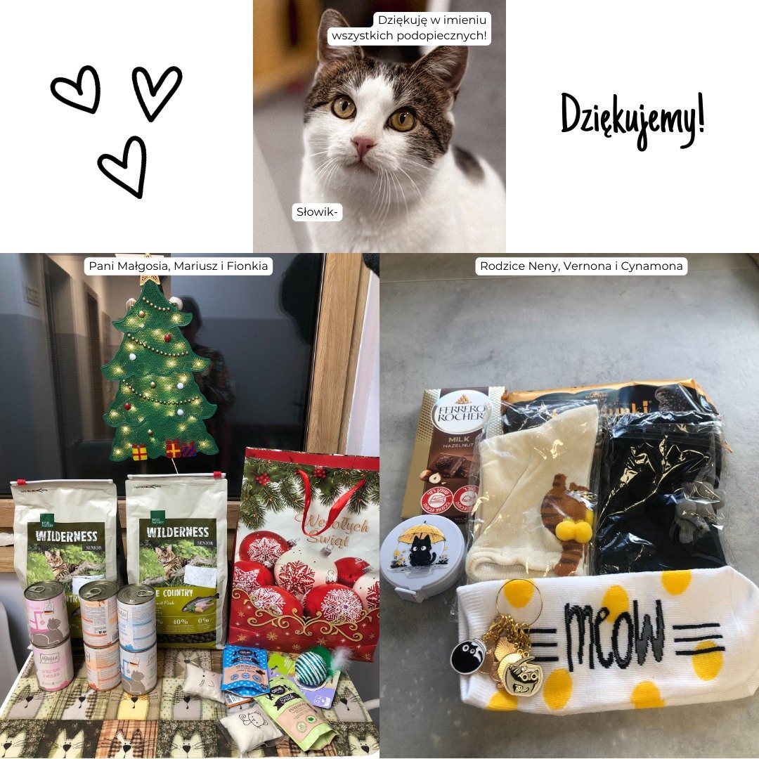 Podziękowania za dary