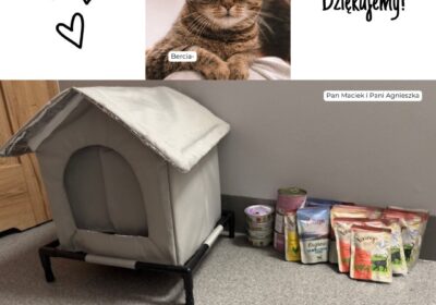 Podziękowania za dary