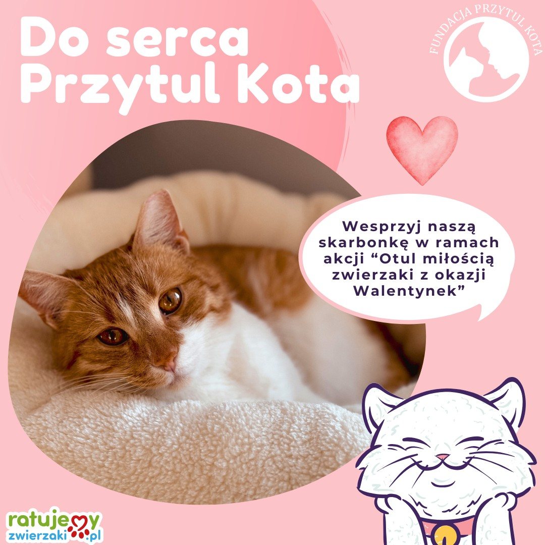 Akcja „Otul Miłością Zwierzaki z okazji Walentynek”