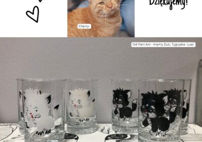 Podziękowania za dary