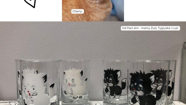 Podziękowania za dary