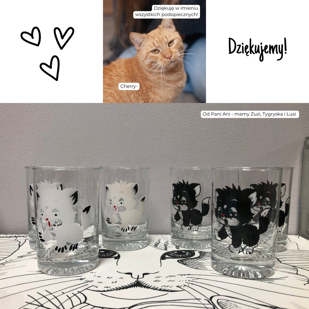 Podziękowania za dary