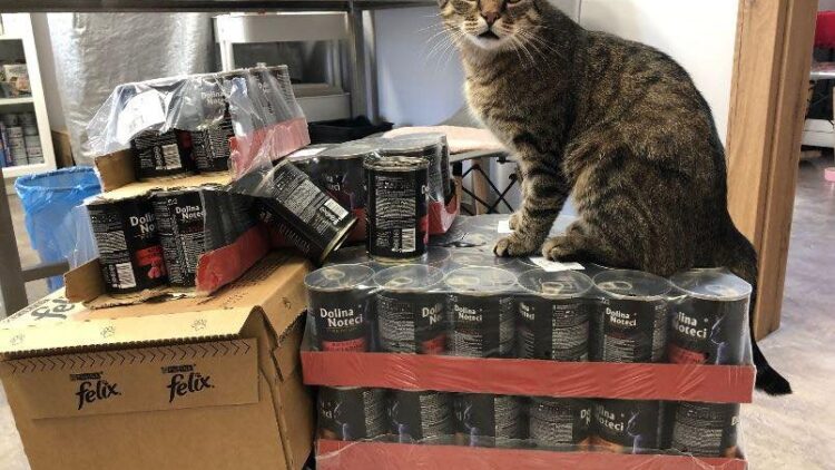 Podziękowania dla pracowników firmy Essentra Components