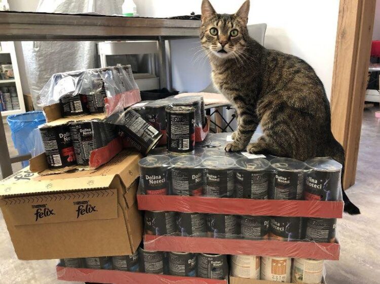 Podziękowania dla pracowników firmy Essentra Components