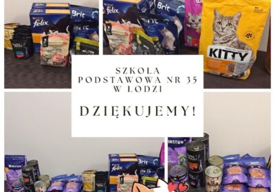 Podziękowania dla SP nr 35 w Łodzi