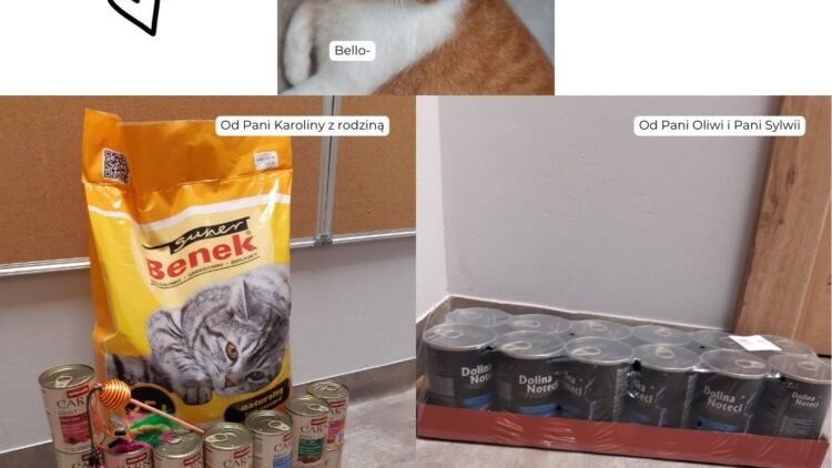 Podziękowania za dary