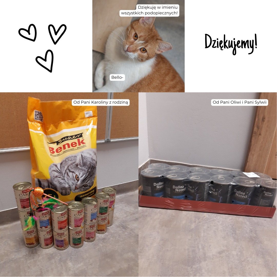 Podziękowania za dary