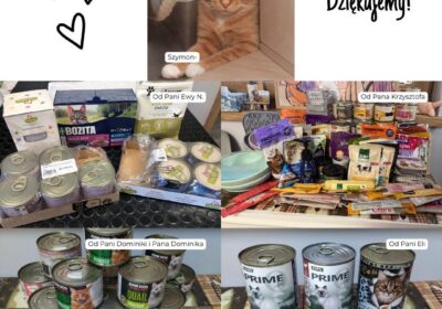 Podziękowania za dary