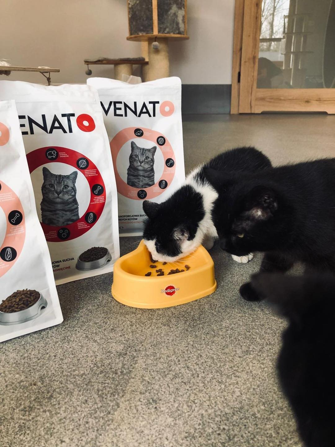 Podziękowania dla producenta karmy VENATO