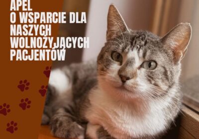 Apel o wsparcie dla naszych pacjentów