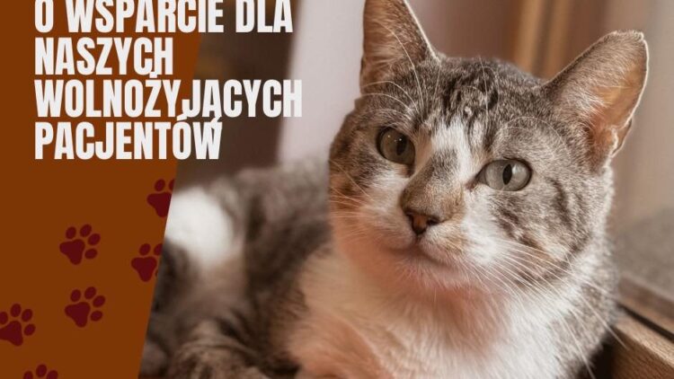 Apel o wsparcie dla naszych pacjentów