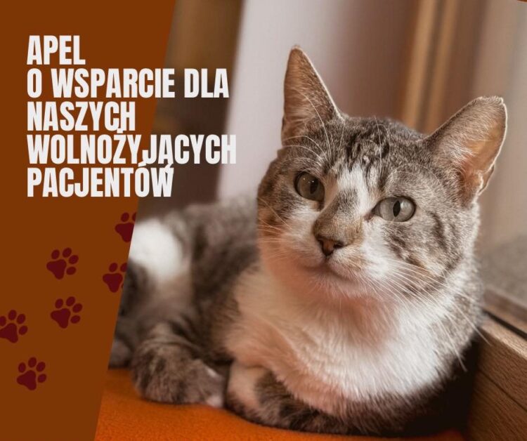Apel o wsparcie dla naszych pacjentów