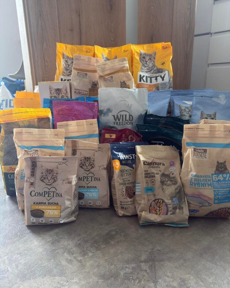 Podziękowania dla SP nr 84 w Łodzi