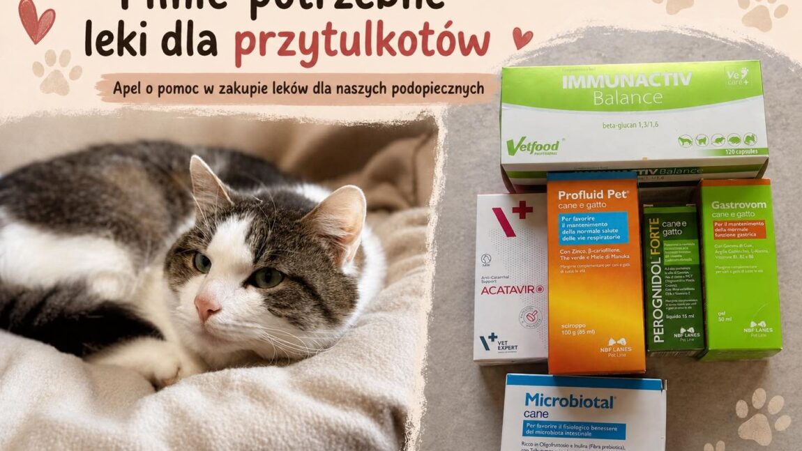 Pilnie potrzebne leki dla przytulkotów