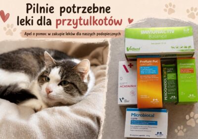 Pilnie potrzebne leki dla przytulkotów