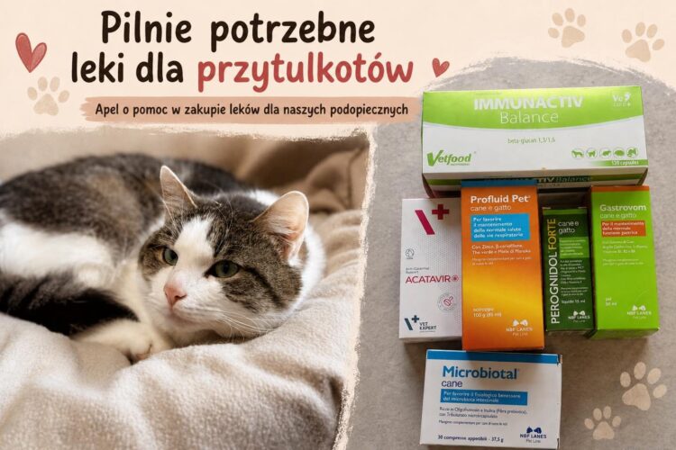 Pilnie potrzebne leki dla przytulkotów