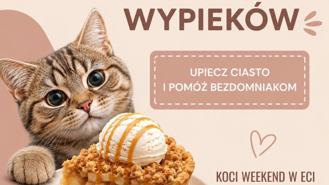 Upiecz ciasto i pomóż bezdomniakom