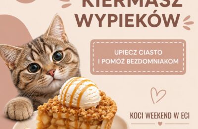 Upiecz ciasto i pomóż bezdomniakom