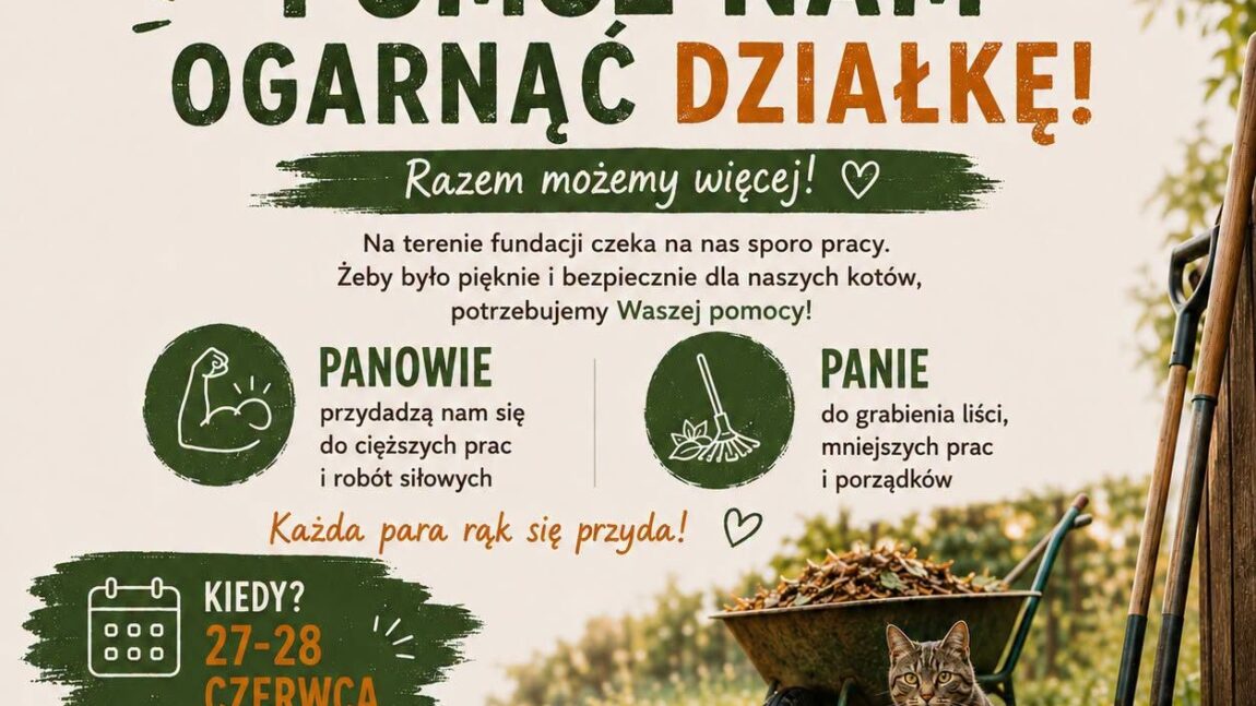Pomóż nam ogarnąć działkę (27-28 czerwca)