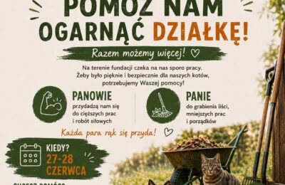 Pomóż nam ogarnąć działkę (27-28 czerwca)