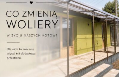 Co zmienią woliery w życiu naszych kotów?